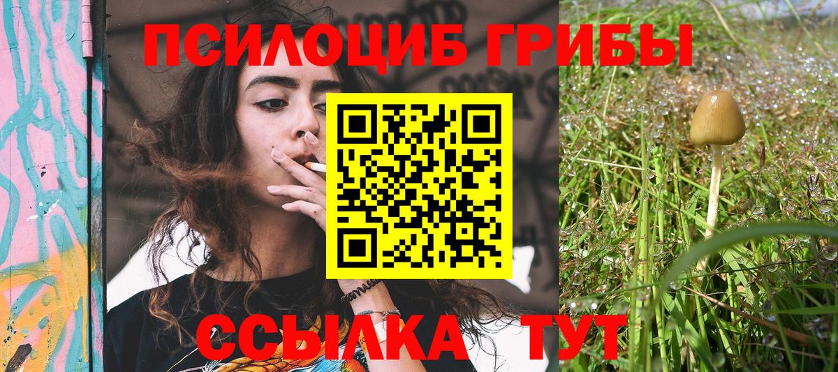 Галлюциногенные грибы Psilocybine cubensis  Псилоцибиновые грибы MAGIC MUSHROOMS  Урай 